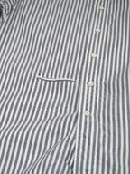 SA Indigo Usu Cotton Oxford Regular Shirt