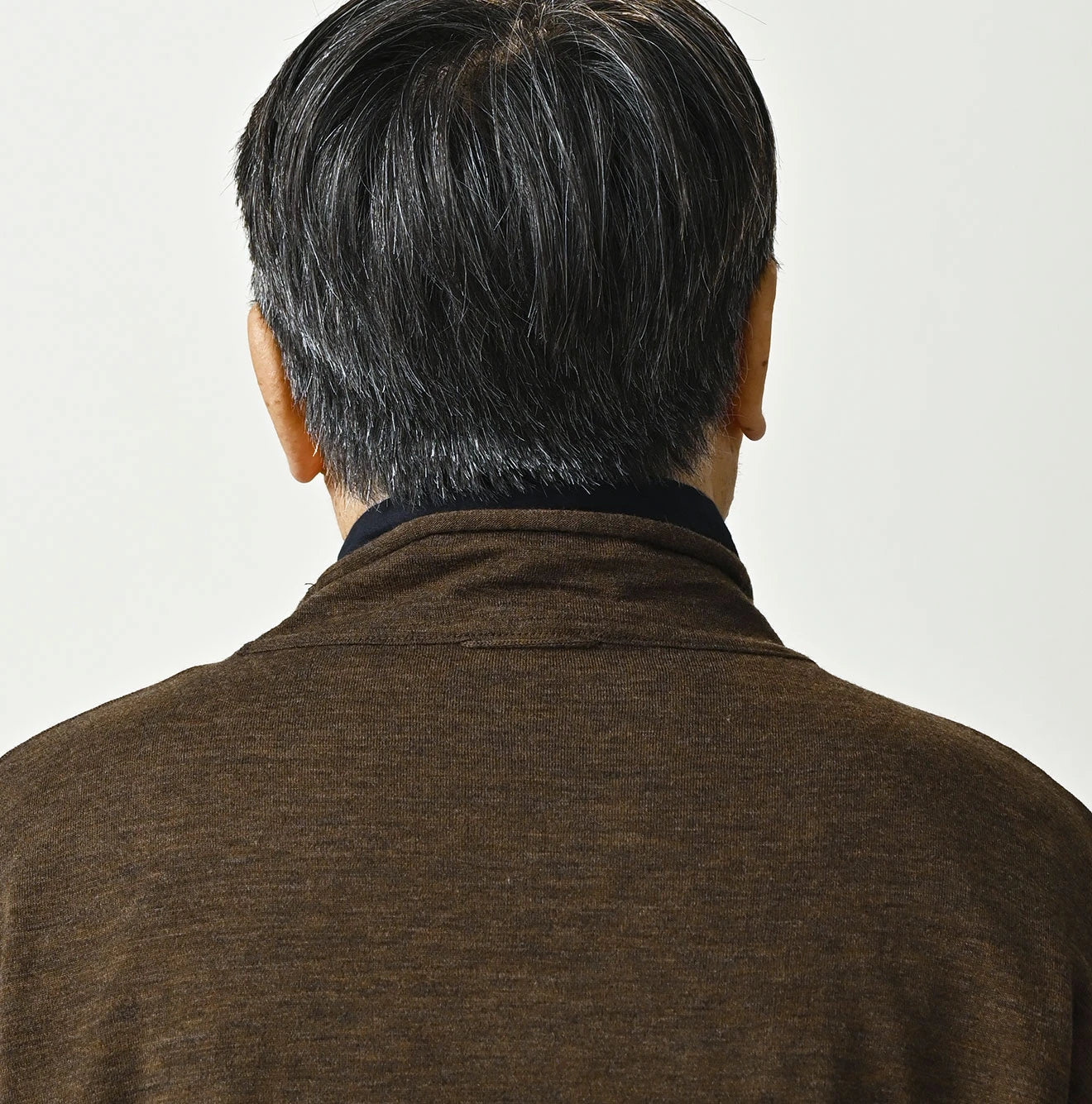 Camellia 908 Yamahiko