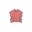 Indian Linen Gingham M Shirt