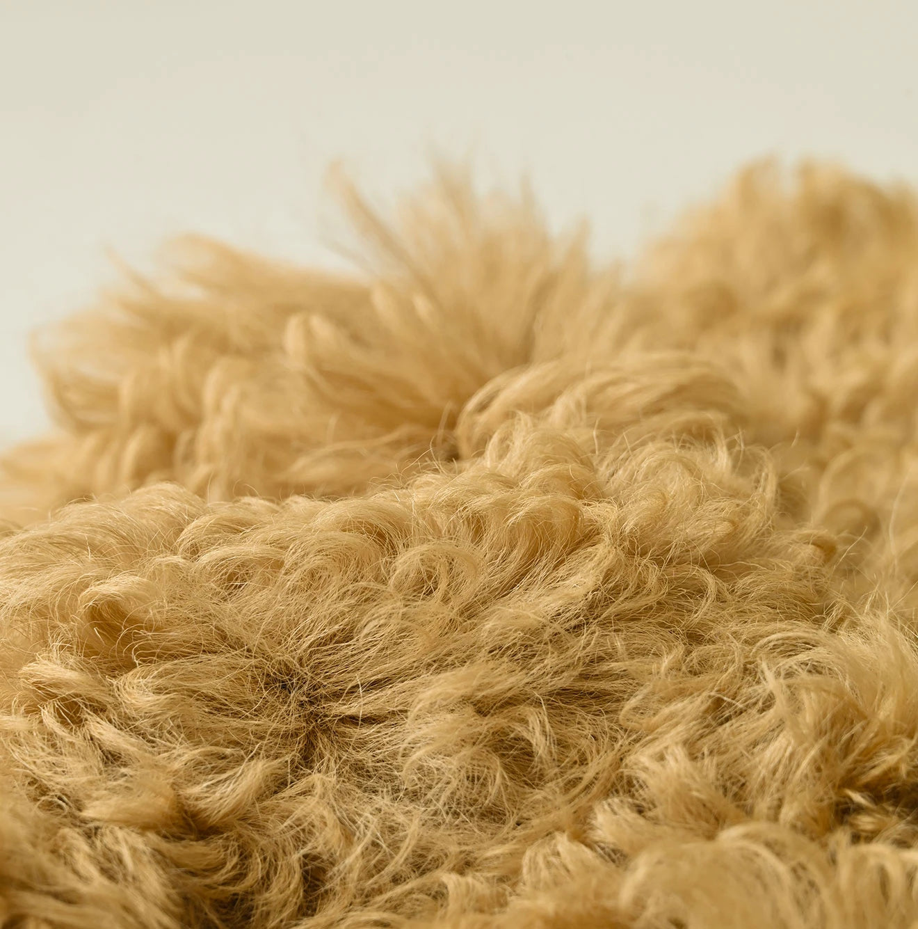 Mouton Petit Vest