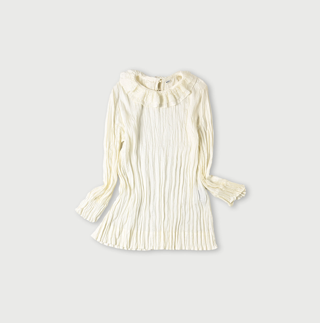 Indian Silk Frill Collar Blouse