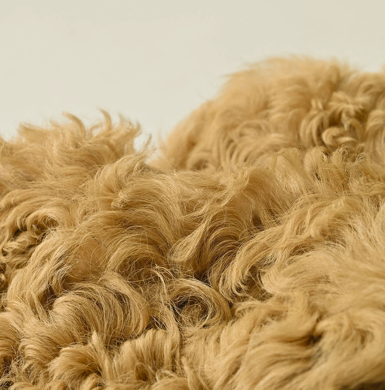 Mouton Shawl