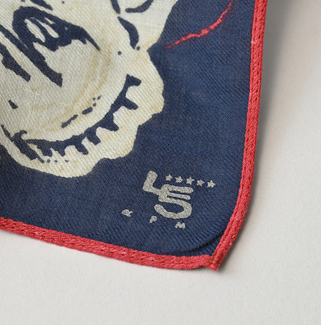 Supima Aya Cruise Map Bandana